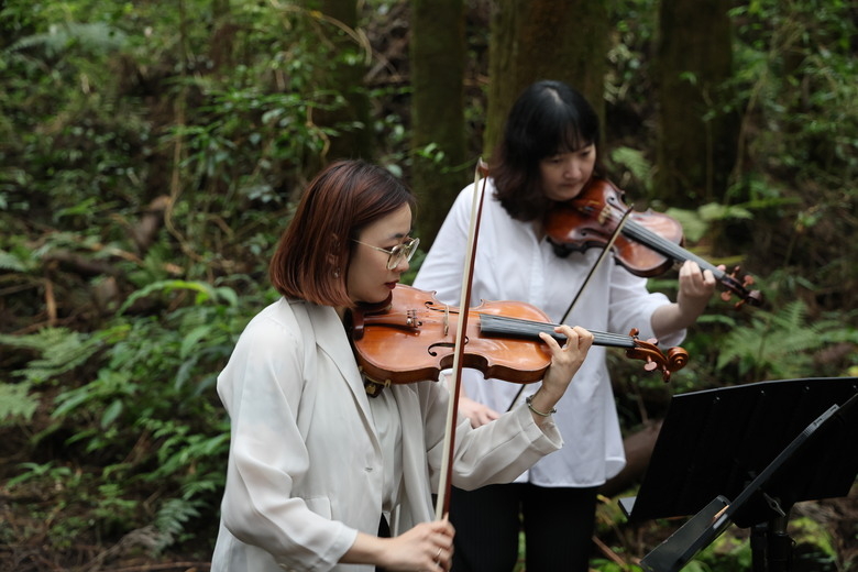 好森音路線體驗在山林中觀賞小型森林音樂演奏會～