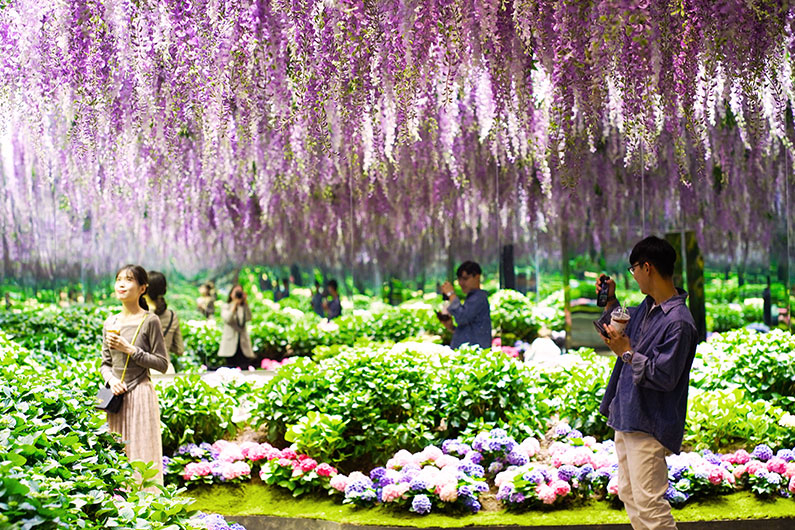 在花卉圍繞下猶如仙境一般，絕對是拍照的好地方