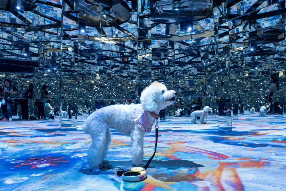 除可免費獲贈NAKED CAFÉ BAR限定飲品,更可享專業攝影團隊即影即印拍照服務連電子相片