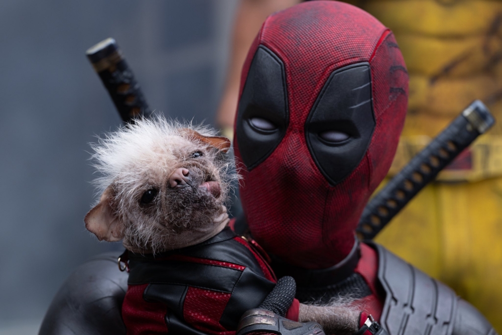 在《死侍與狼人》飾演死侍狗的「Peggy」成為電影最搶眼的角色之一!