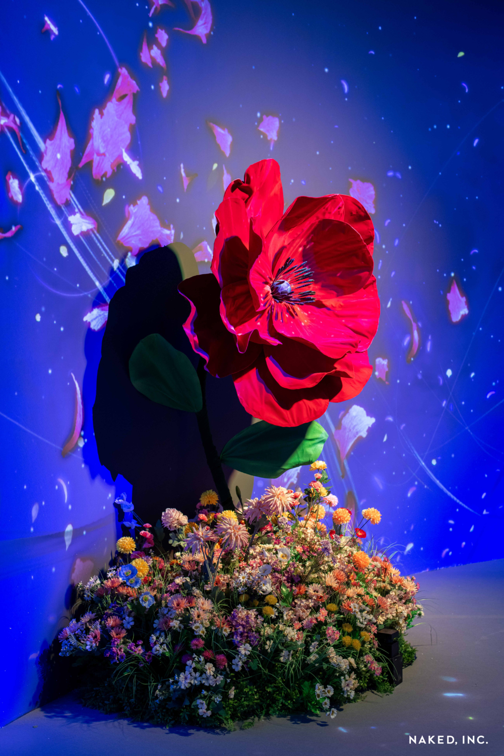 身穿白色系服飾於現場購票:門票75折優惠