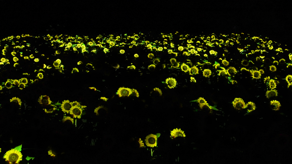 這次展覽亦是一個互動裝置