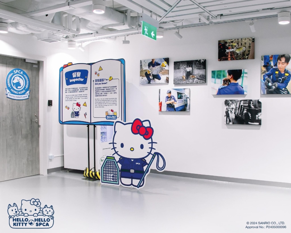 Hello Kitty X 動物拯救基金展覽及慈善義賣
