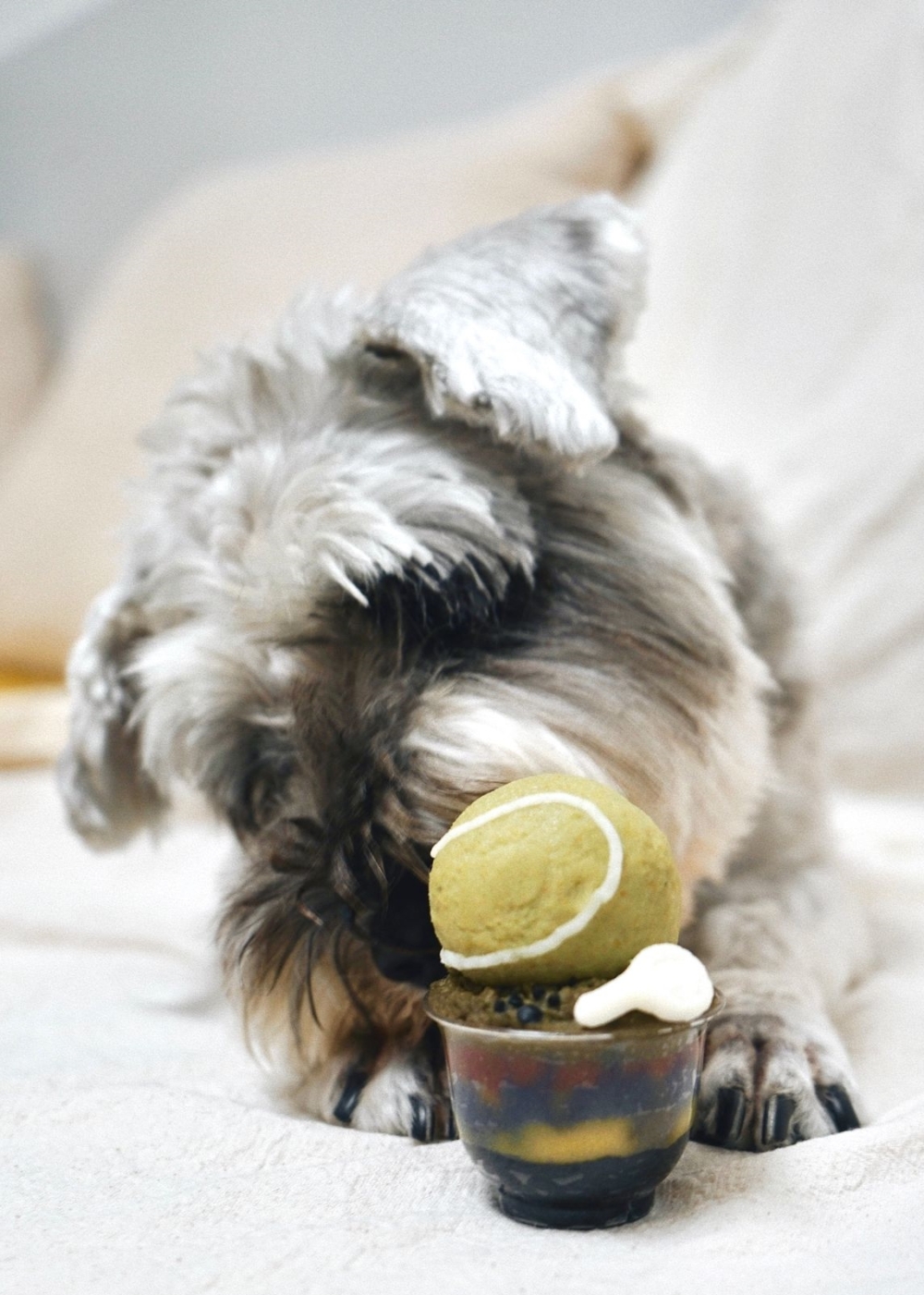 DIY 毛小孩慈善美食「盃」