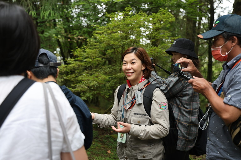 森林癒路線體驗漫步在阿里山山林的綠意蓊鬱之間～