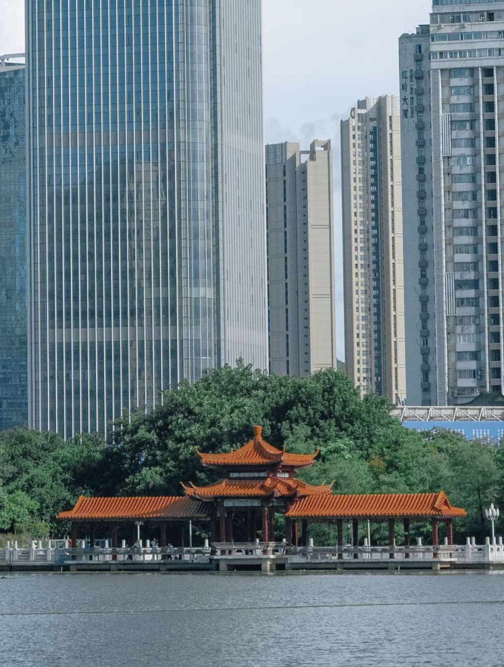 荔枝公園設有古樸小橋、花廊竹徑、亭台樓閣、古樹植物等，景色宜人～