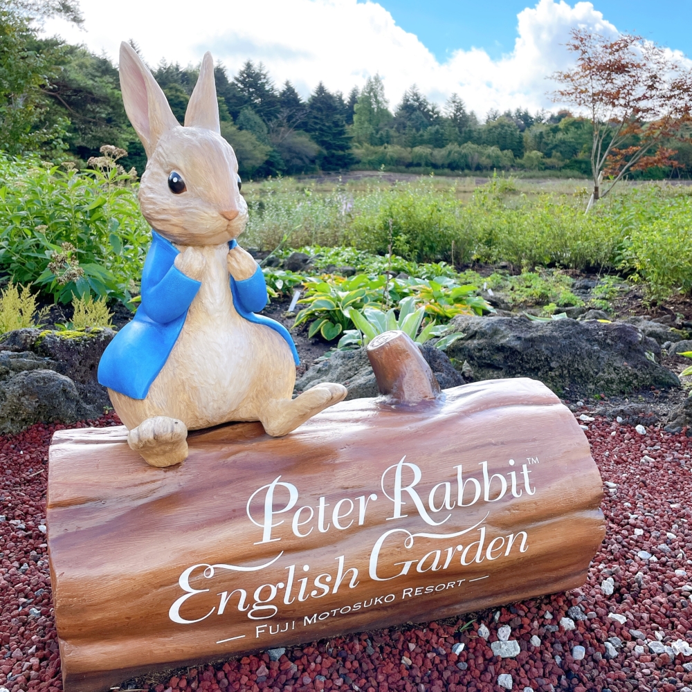 富士本栖湖渡假村與英國人氣童話角色「彼得兔」合作,特別打造「彼得兔™英式花園」!