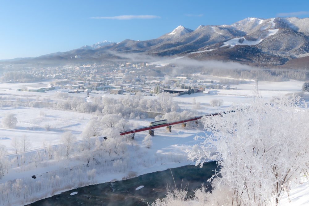 冬季完全是滑雪愛好者的季節:富良野市。