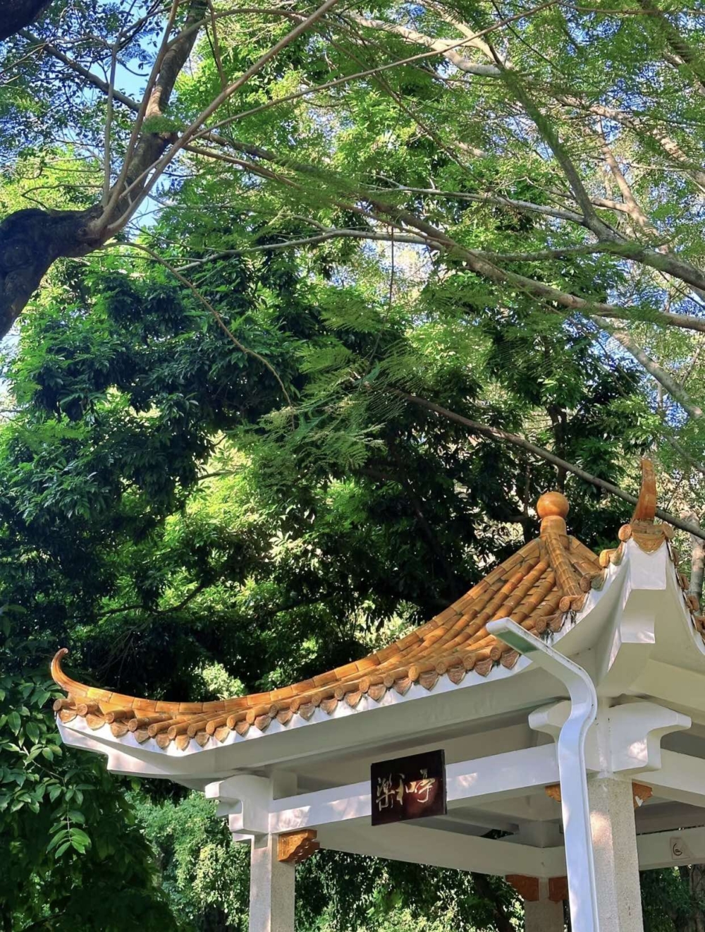 深圳人民公園。