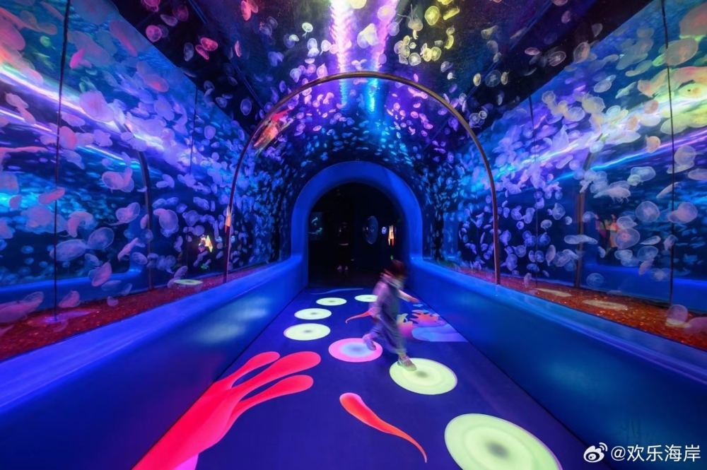 水族館「海洋奇夢館」～