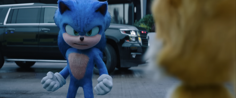 夏特是一隻黑色刺蝟，外型與能力與主角「Sonic」十分相似！