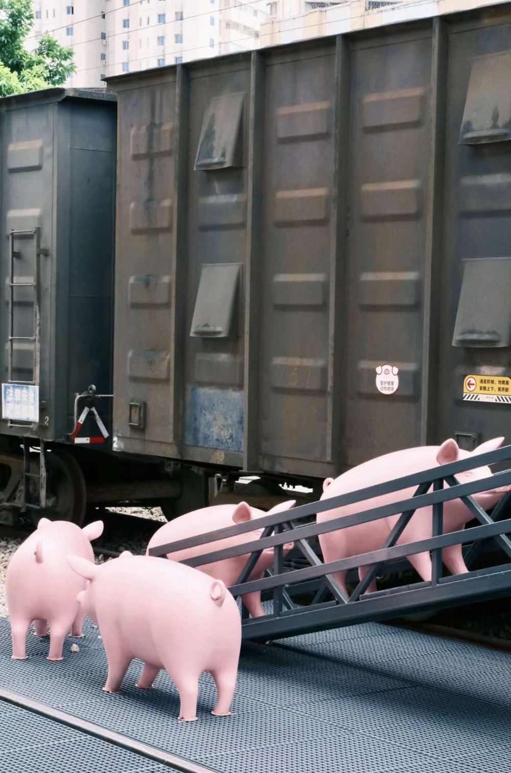 可愛的豬仔讓充滿復古年代感的清水河鐵路公園多了一份趣味性！