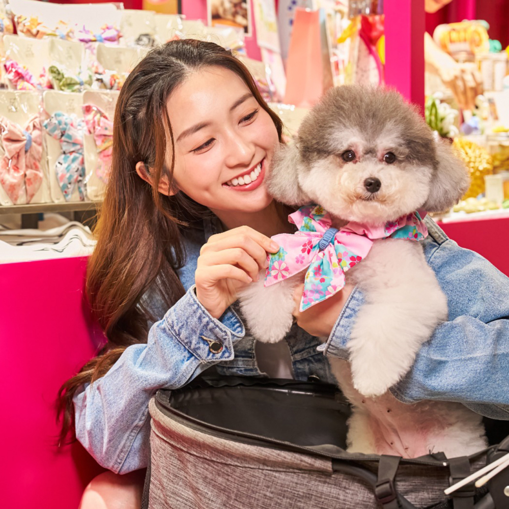 寵物月餅工作坊！