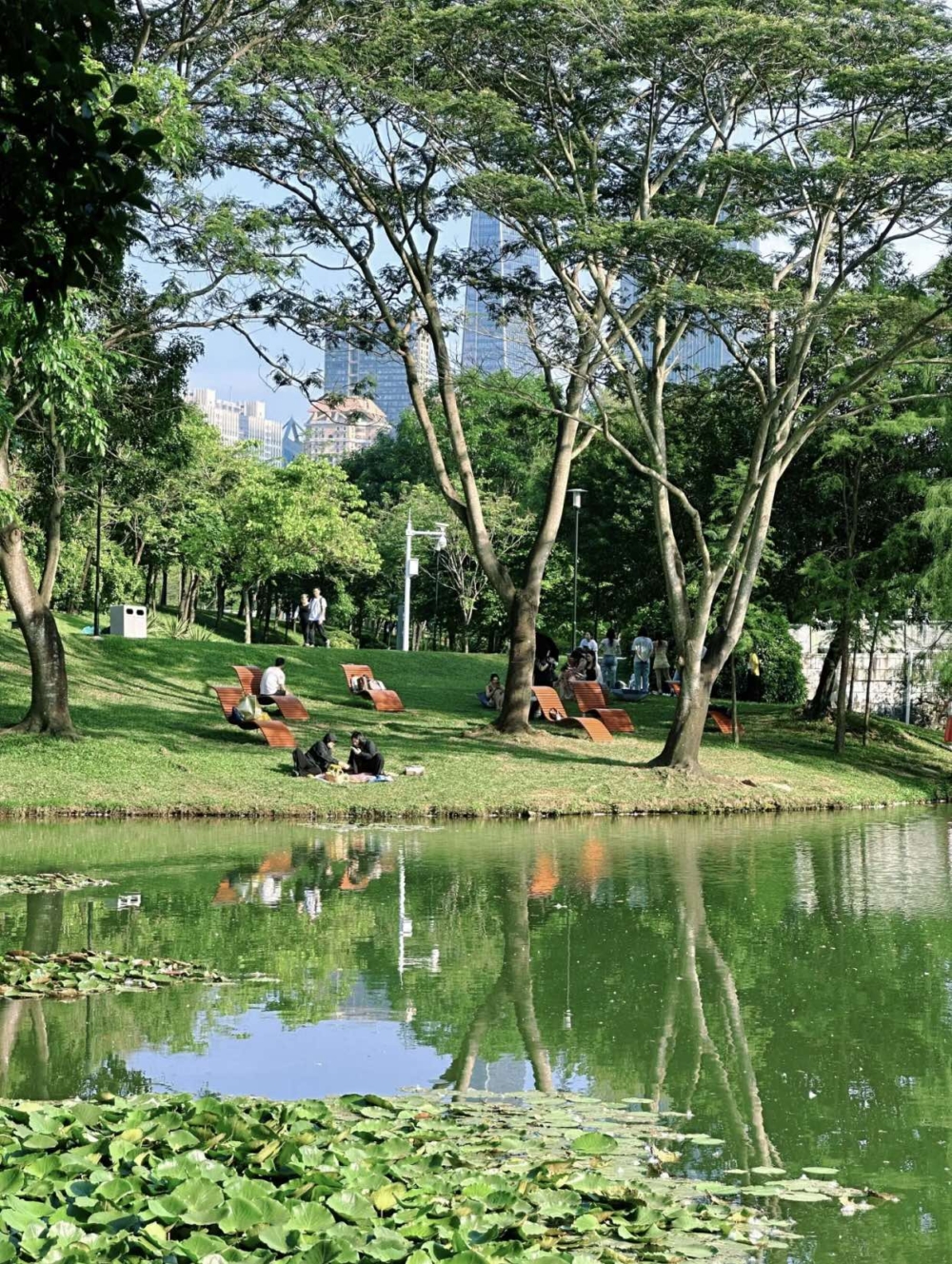 深圳中心公園。