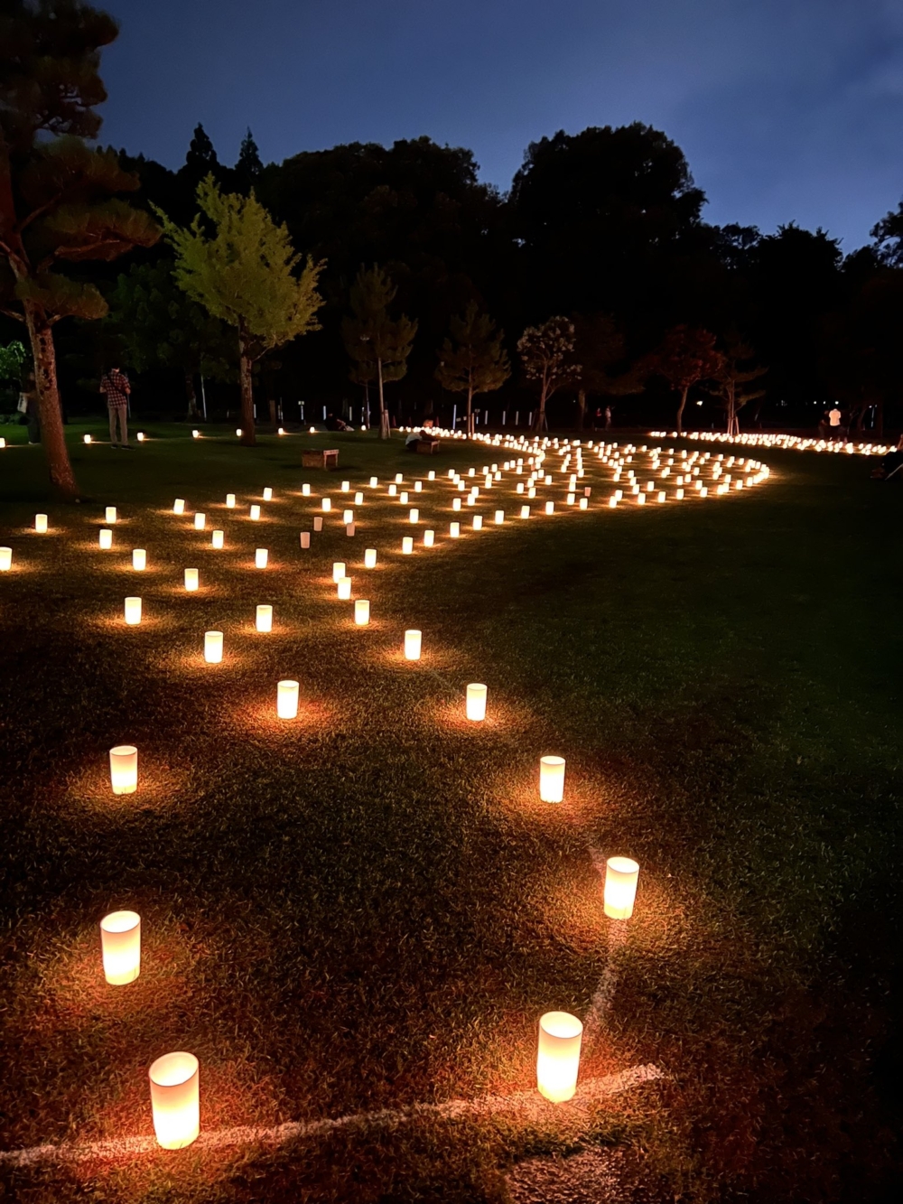 日本奈良每年會舉辦夏季限定活動「奈良燈花會」。