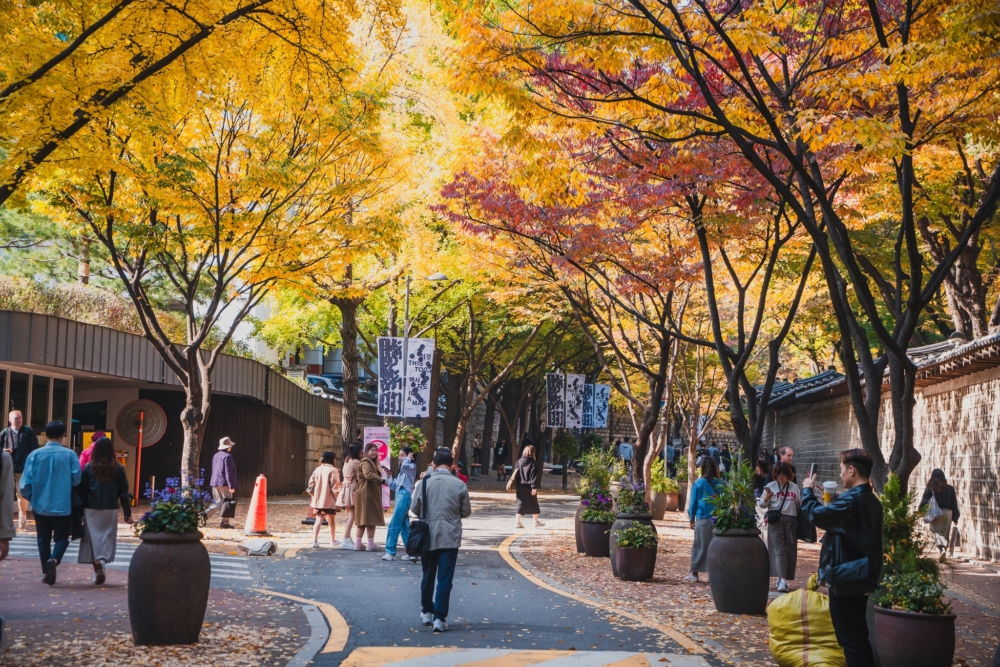 德壽宮 石牆路。