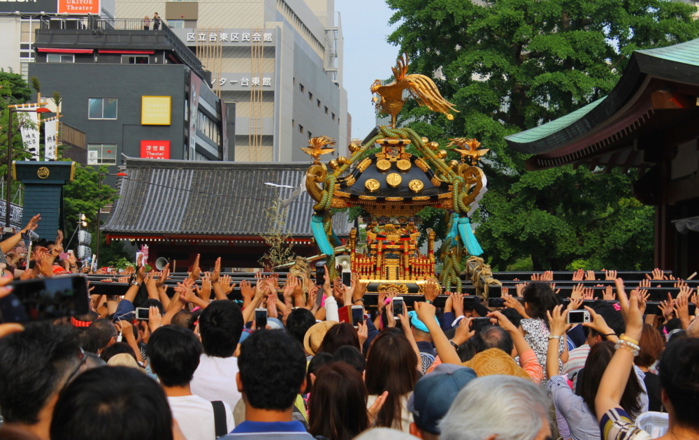 淺草三社祭。