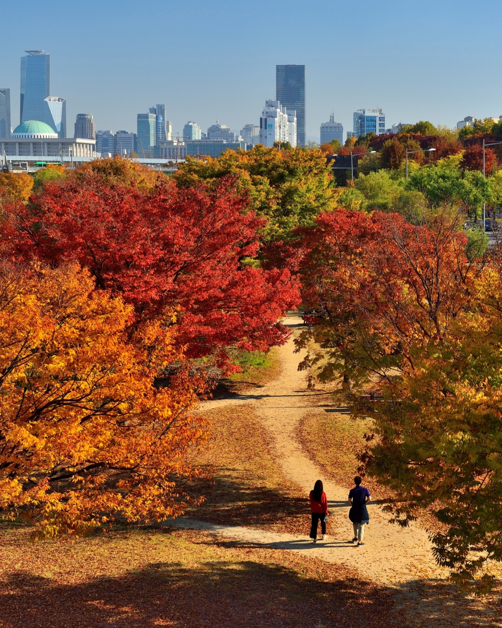 2024韓國紅葉時間預測出爐，今年韓國9月及10月平均氣溫比往年高，所以預測楓葉轉紅的時間會遲一些～