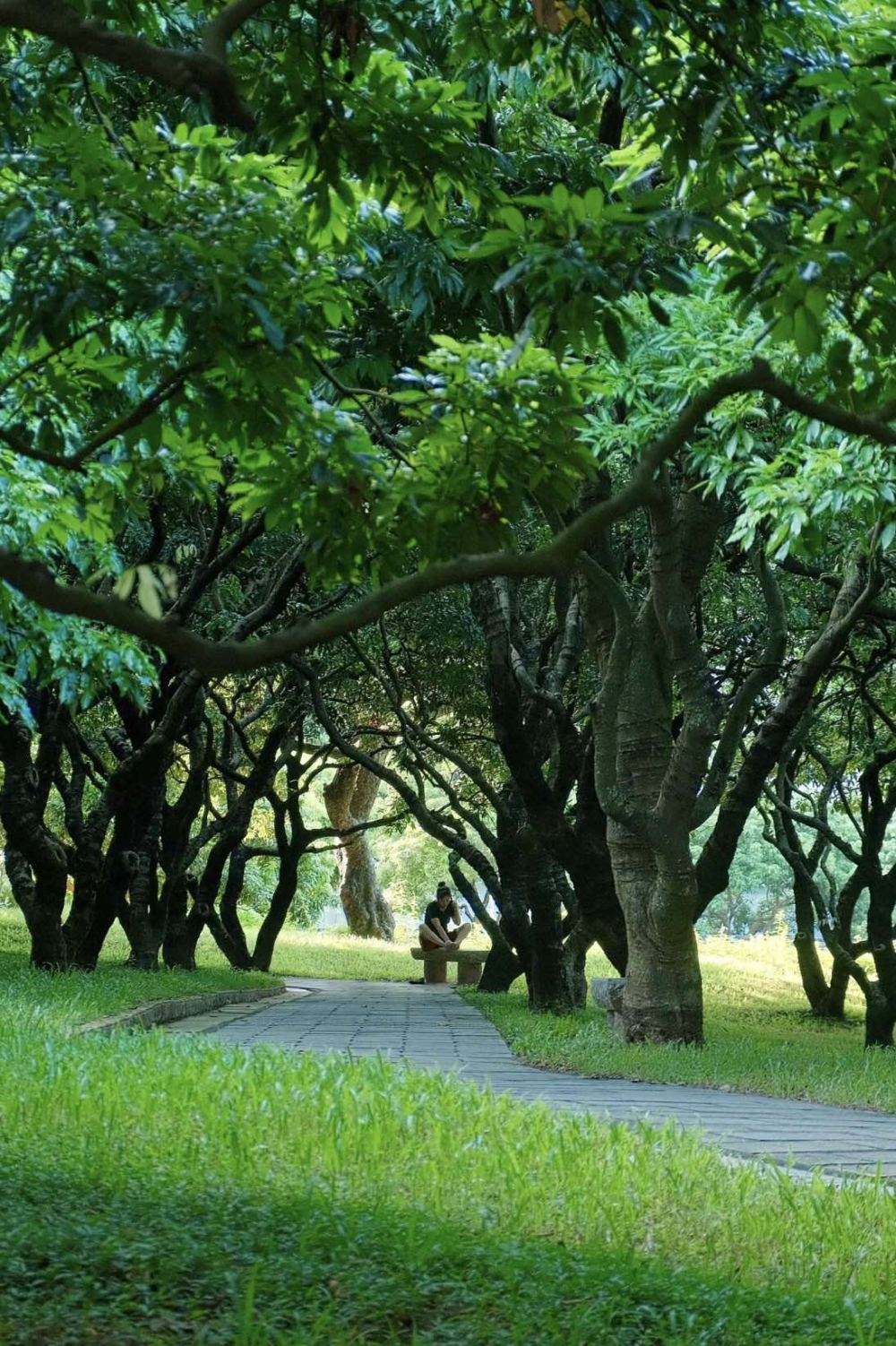 皇崗村錦繡園設有各種傳統建築及元素,如亭台樓閣、人工湖泊及步道等~
