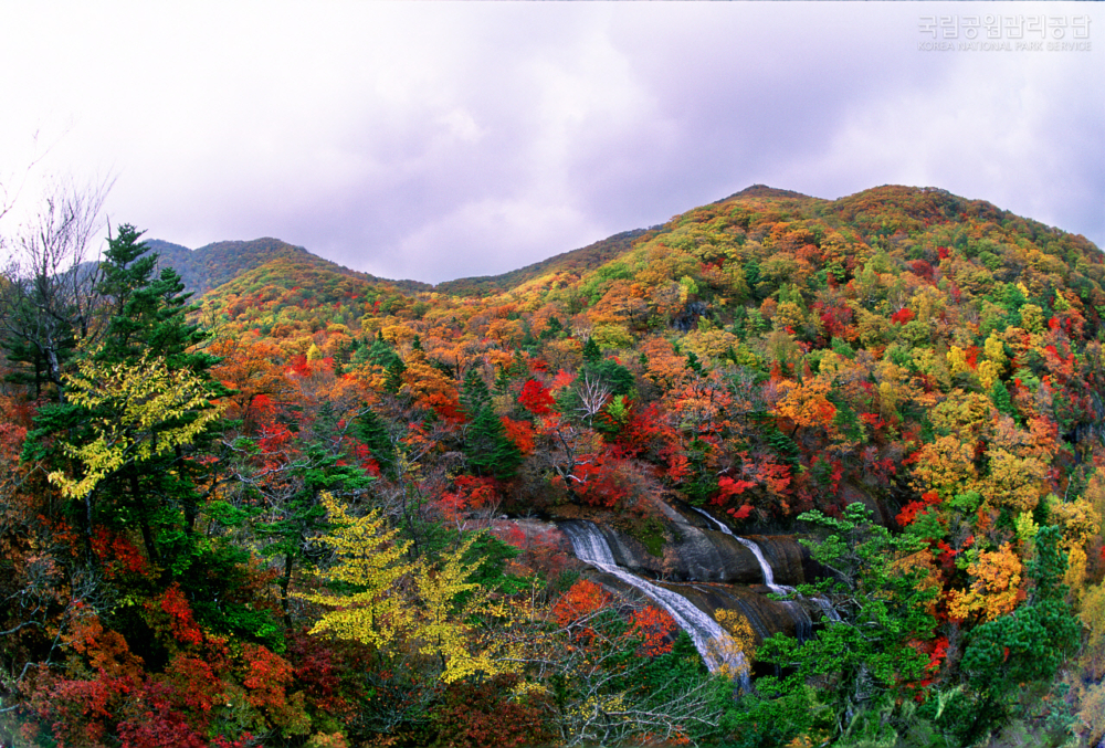 智異山國立公園。