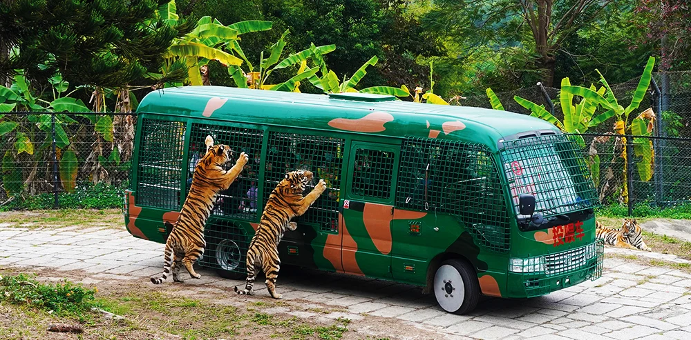 深圳野生動物園劃分成三個園區:食草動物區及猛獸區及表演區。