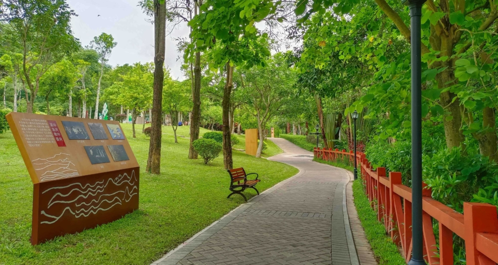 陽台山森林公園。