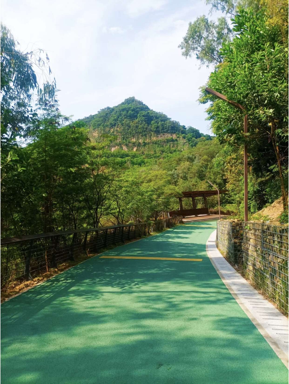 北站中心公園設有綠色散步路徑~