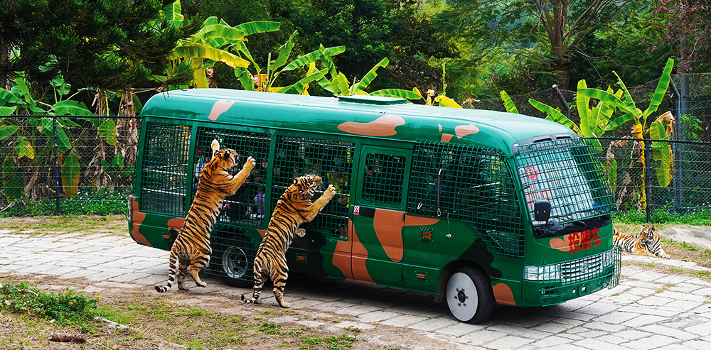 「深圳野生動物園」劃分成三個園區:食草動物區及猛獸區及表演區。