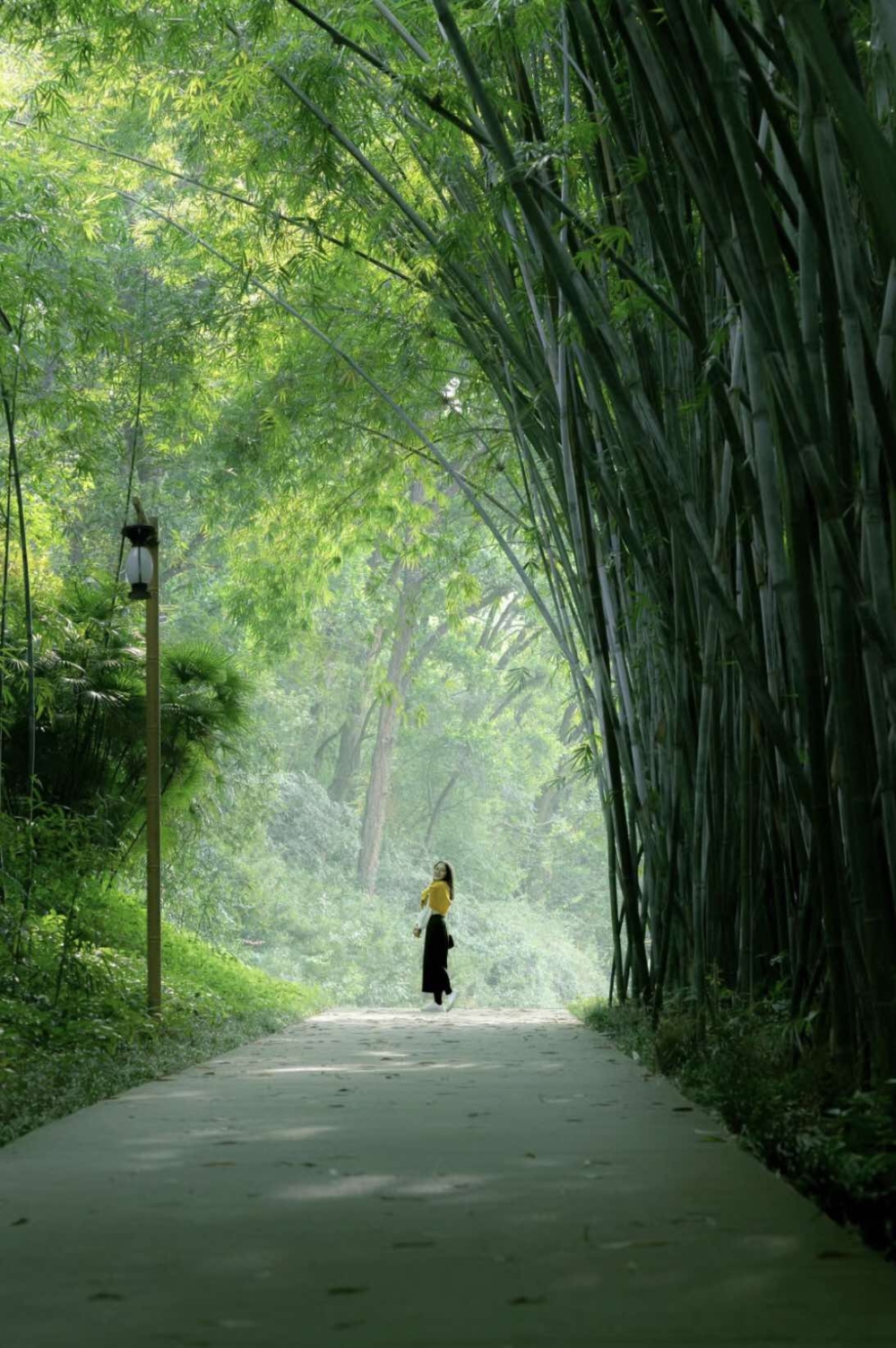 深圳翠竹公園。