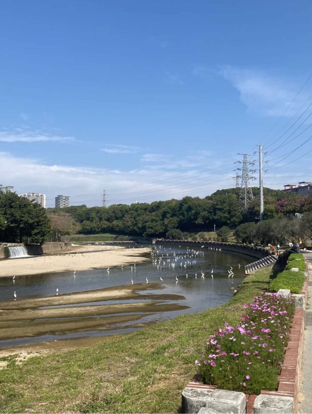 觀瀾河濕地公園。
