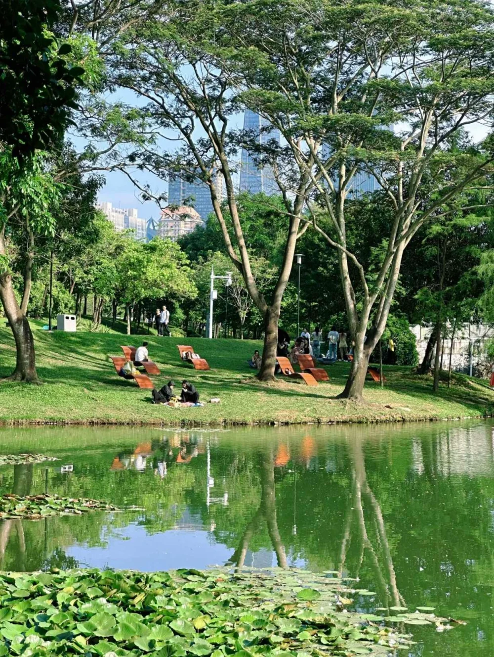 深圳中心公園。