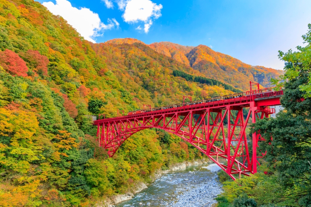 計畫去日本賞楓的朋友，可以參考多個日本賞楓預測網站，更方便配合紅葉期來買機票、安排行程～