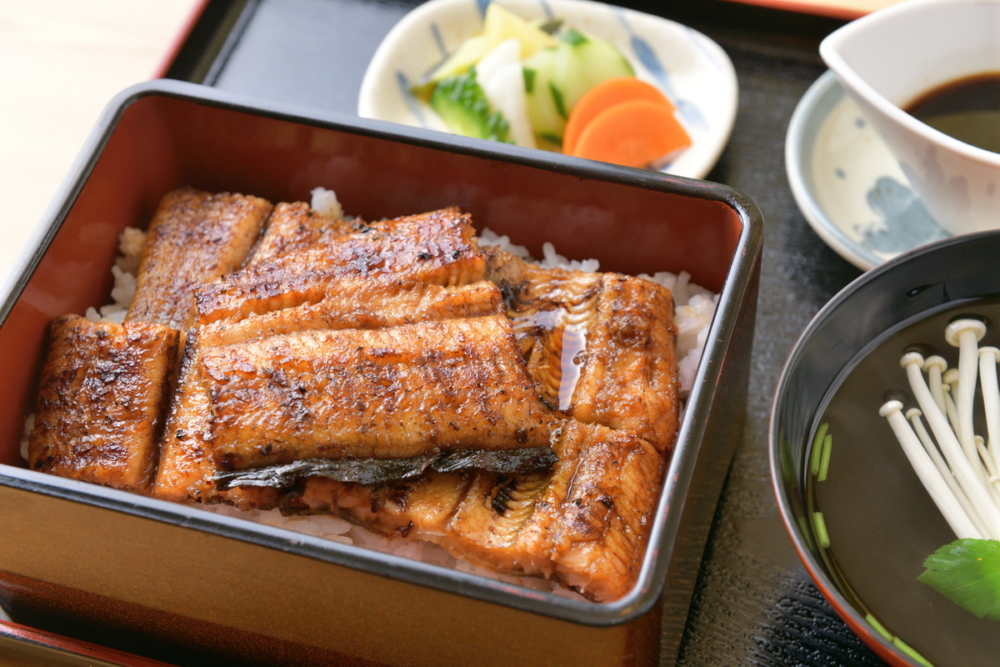 「うな善」以鰻魚料理聞名的老字號,提供當季最優質的鰻魚。