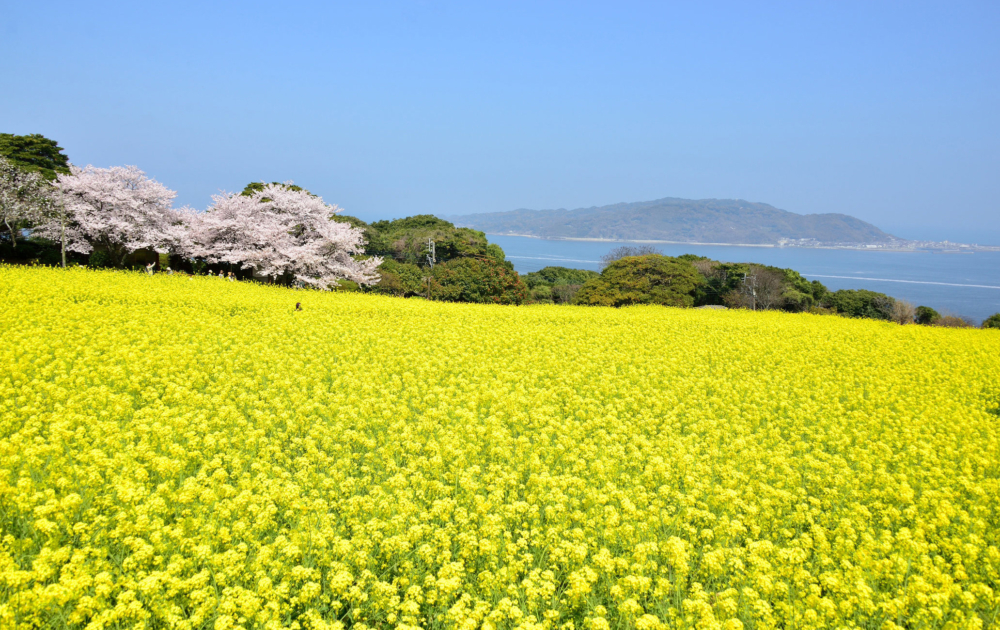 能古島。