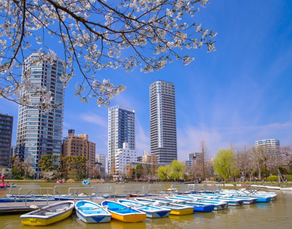 上野恩賜公園。