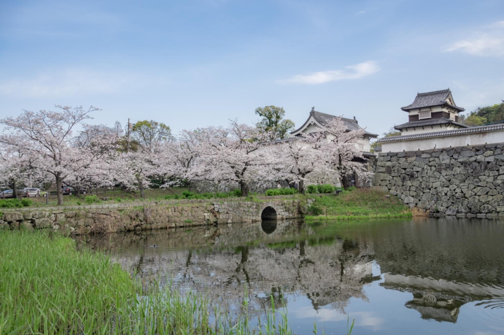 舞鶴公園/福岡城跡。