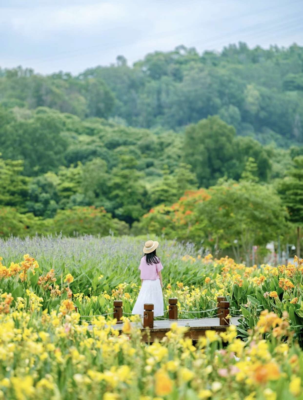 樓村濕地公園擁有豐富的自然景觀及濕地生態系統。