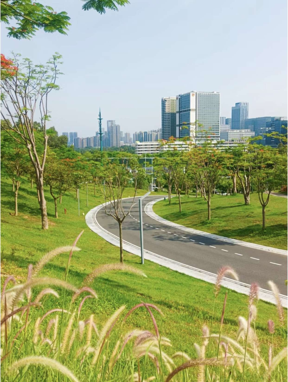 深圳北站中心公園。