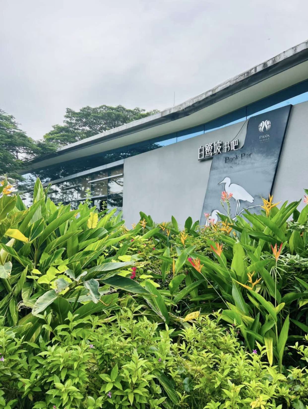 深圳白鷺坡書吧。