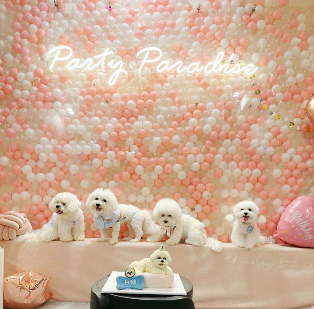 香港Party Room 2024推薦|Acoustic Partyroom