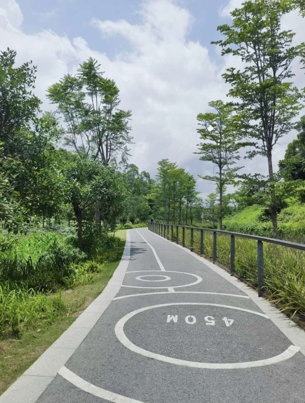 深圳平湖生態園。