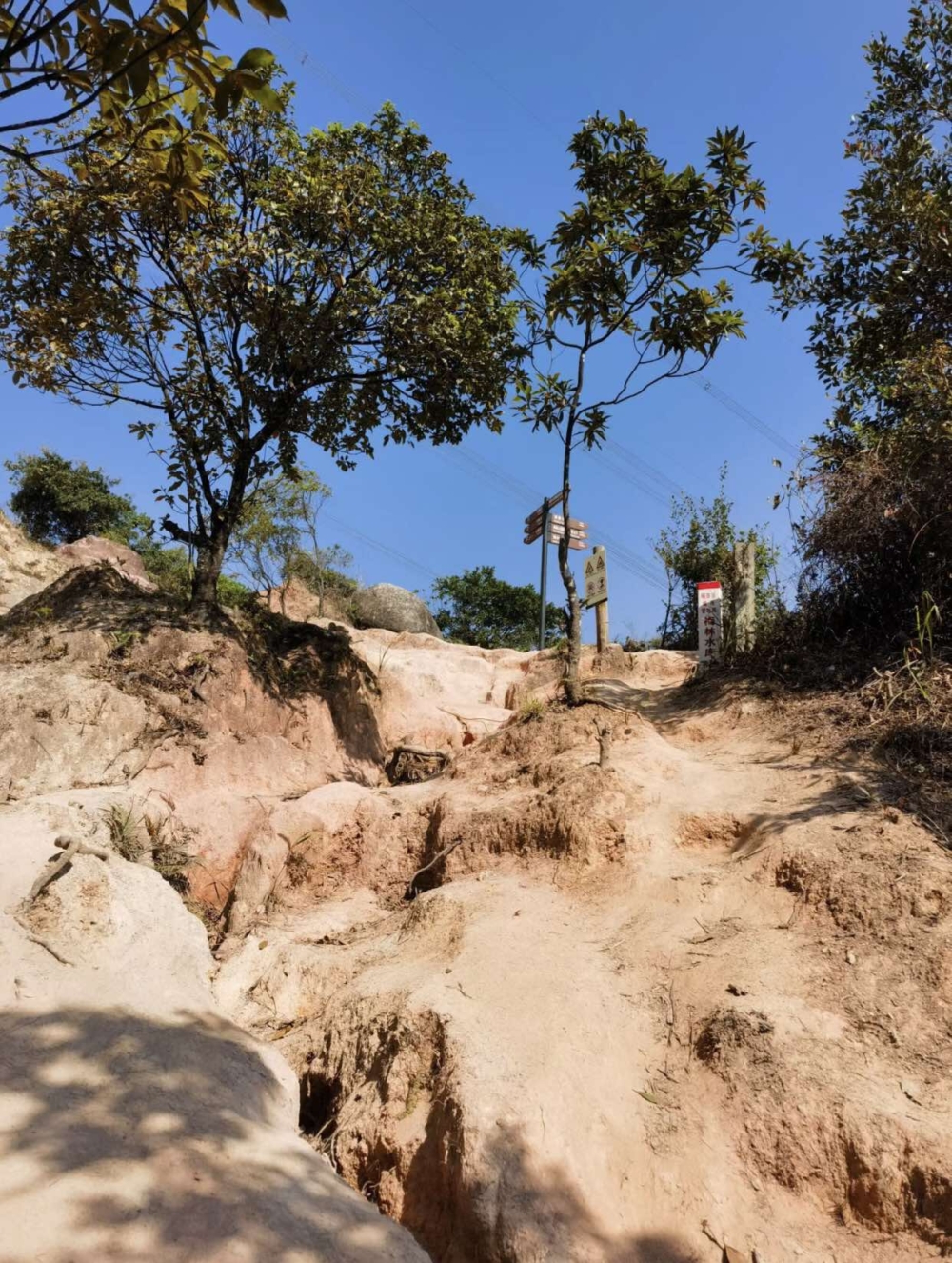 梅林山郊野徑是深圳第一條手作步道!