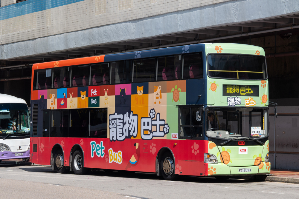 九巴與開大旅遊攜手推出的「寵物巴士遊」行程，讓不少寵物主人能夠帶著愛寵一起探索香港。