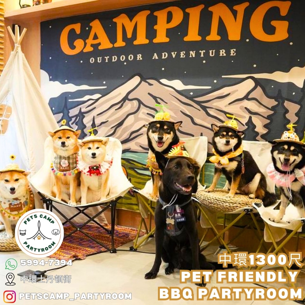香港Party Room 2024推薦|Pets Camp Partyroom
