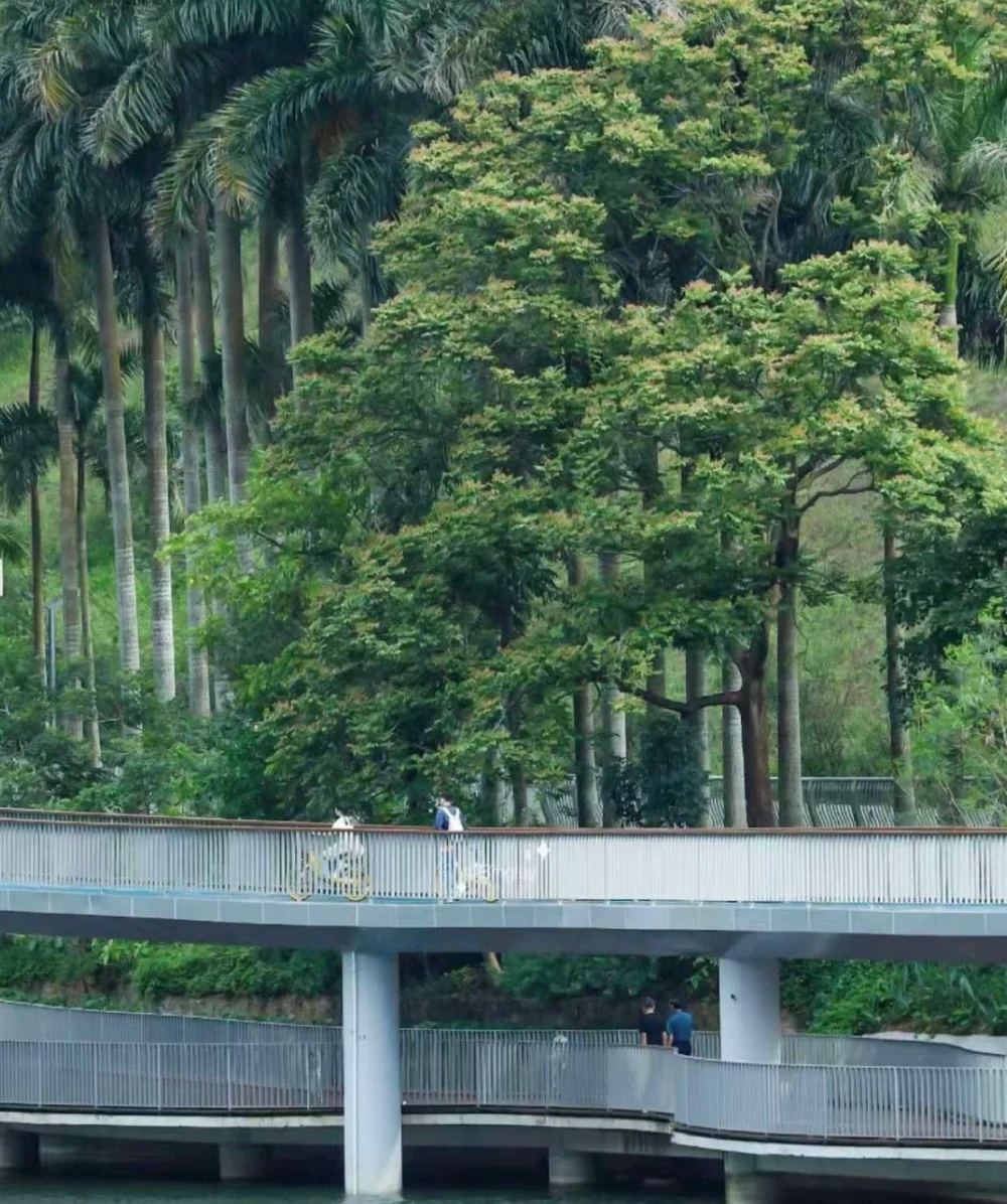 銀湖山郊野公園被稱為「深圳版秋名山」!