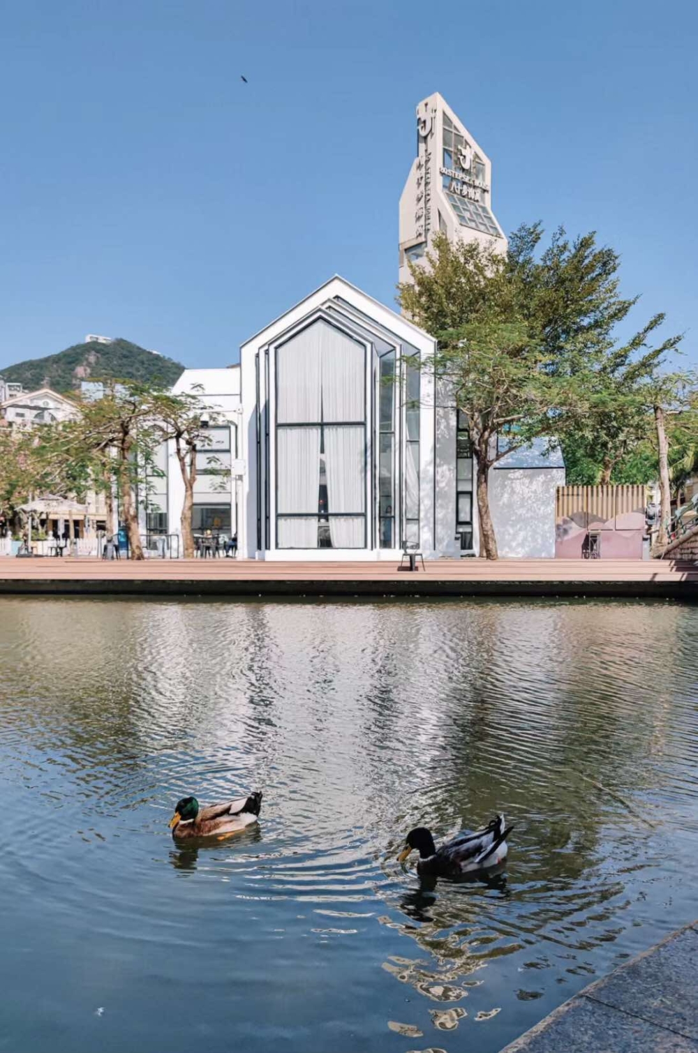 深圳棲息圖書館。