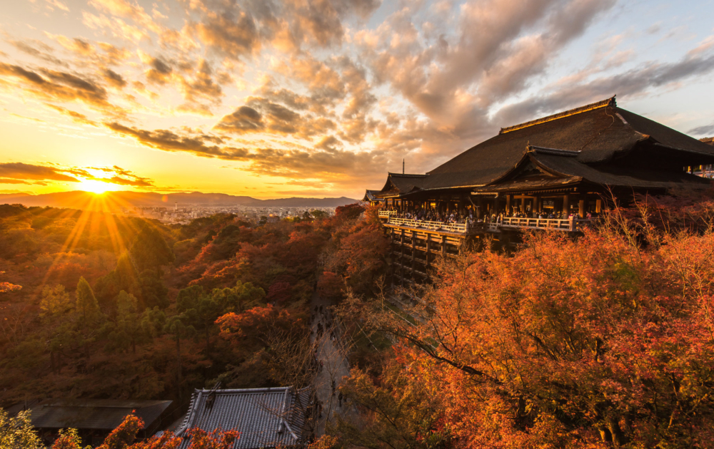 京都向來是日本超熱門的旅遊城市,尤其近年遊客爆增,但一直面臨遊客攜帶大型行李迫爆巴士的問題,對當地居民帶來極大困擾!