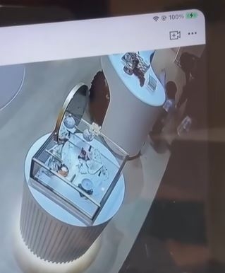 CCTV影片可見當時有兩名穿相同服裝的小孩見到兔子後上前把玩,其中有觸摸動作
