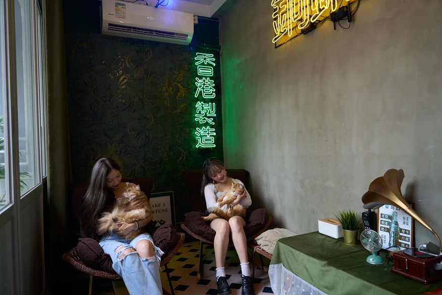 香港Party Room 2024推薦|The Roomss
