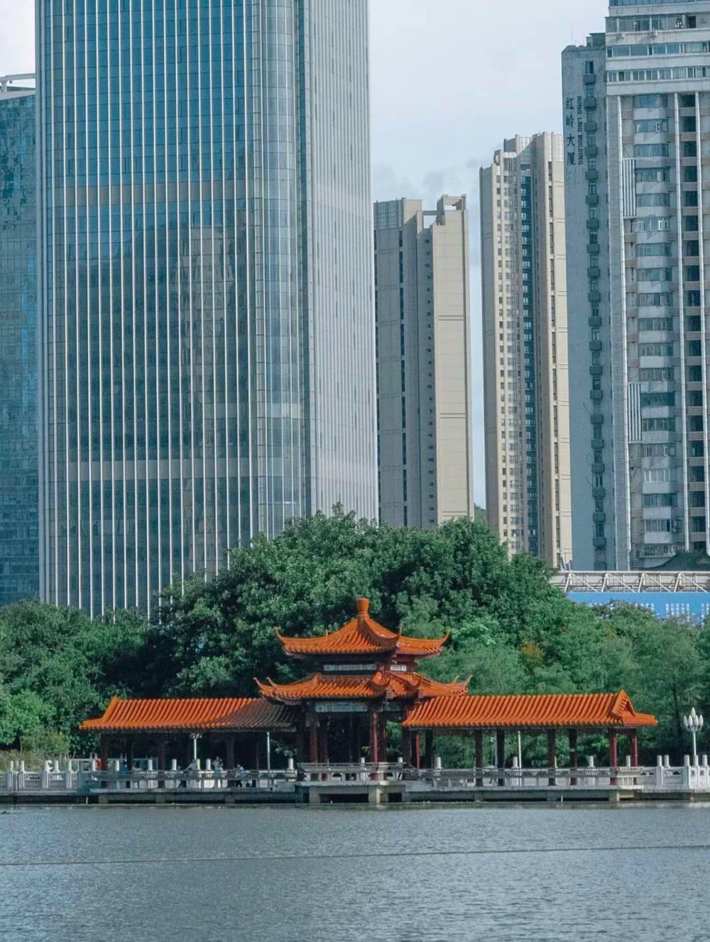 深圳荔枝公園。